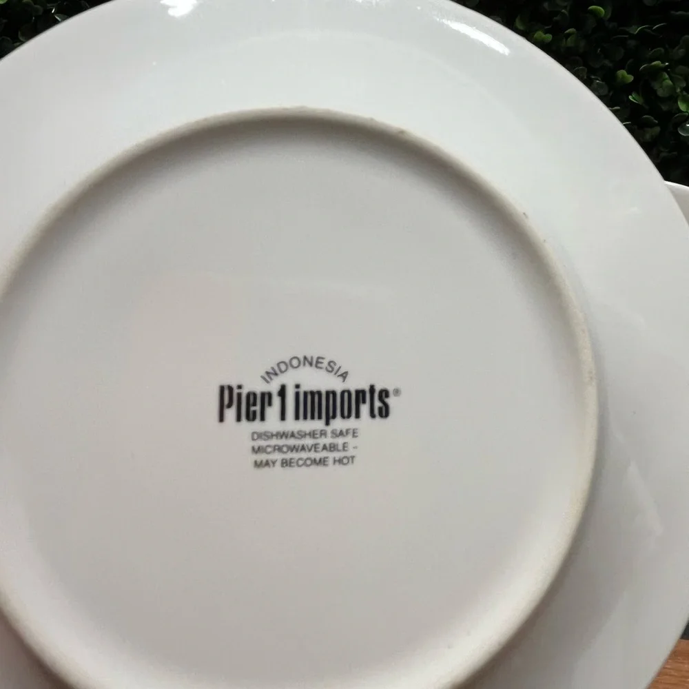 Pier 1 Multicolor Ceramic Bowl and Saucer Set